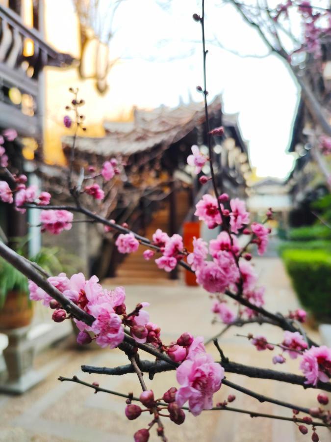Doof Resort Hotel 麗江市 エクステリア 写真